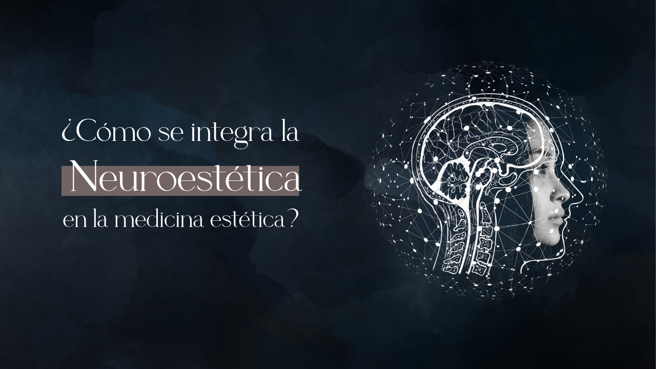 Título (4)